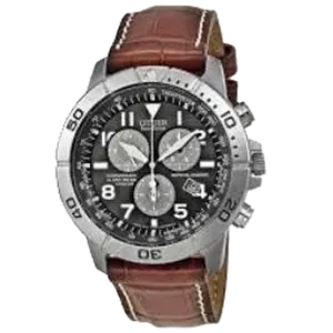 CITIZEN Eco-Drive Perpetual Calendar Chronograph Men's Watch
